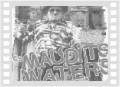 Maudits Waters Live...